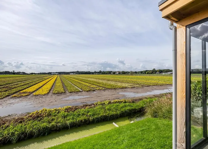 公寓 Holiday Duin 诺德韦克